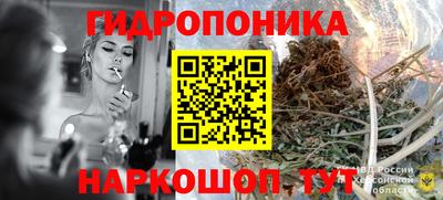 спиды Прохладный