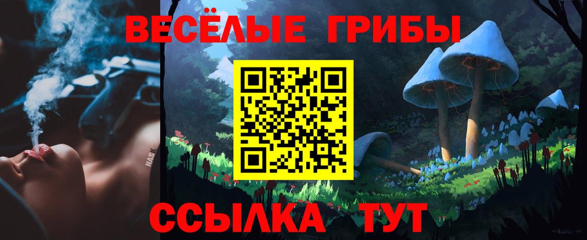 Котовск  Галлюциногенные грибы мицелий  Вход с VPN 